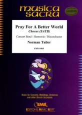 Pray For A Better World