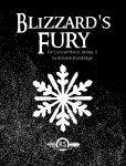 Blizzards Fury