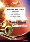 Spirit Of The Hawk